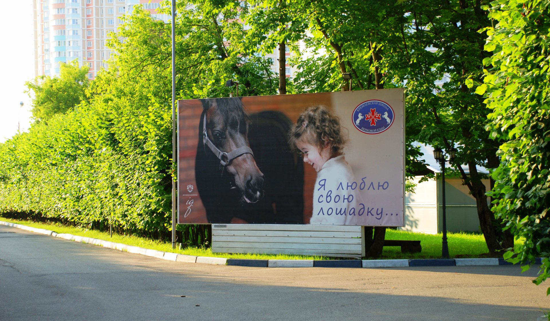 Баннер с лошадьми. Рекламный баннер с лошадьми. Лошадь на билборде.